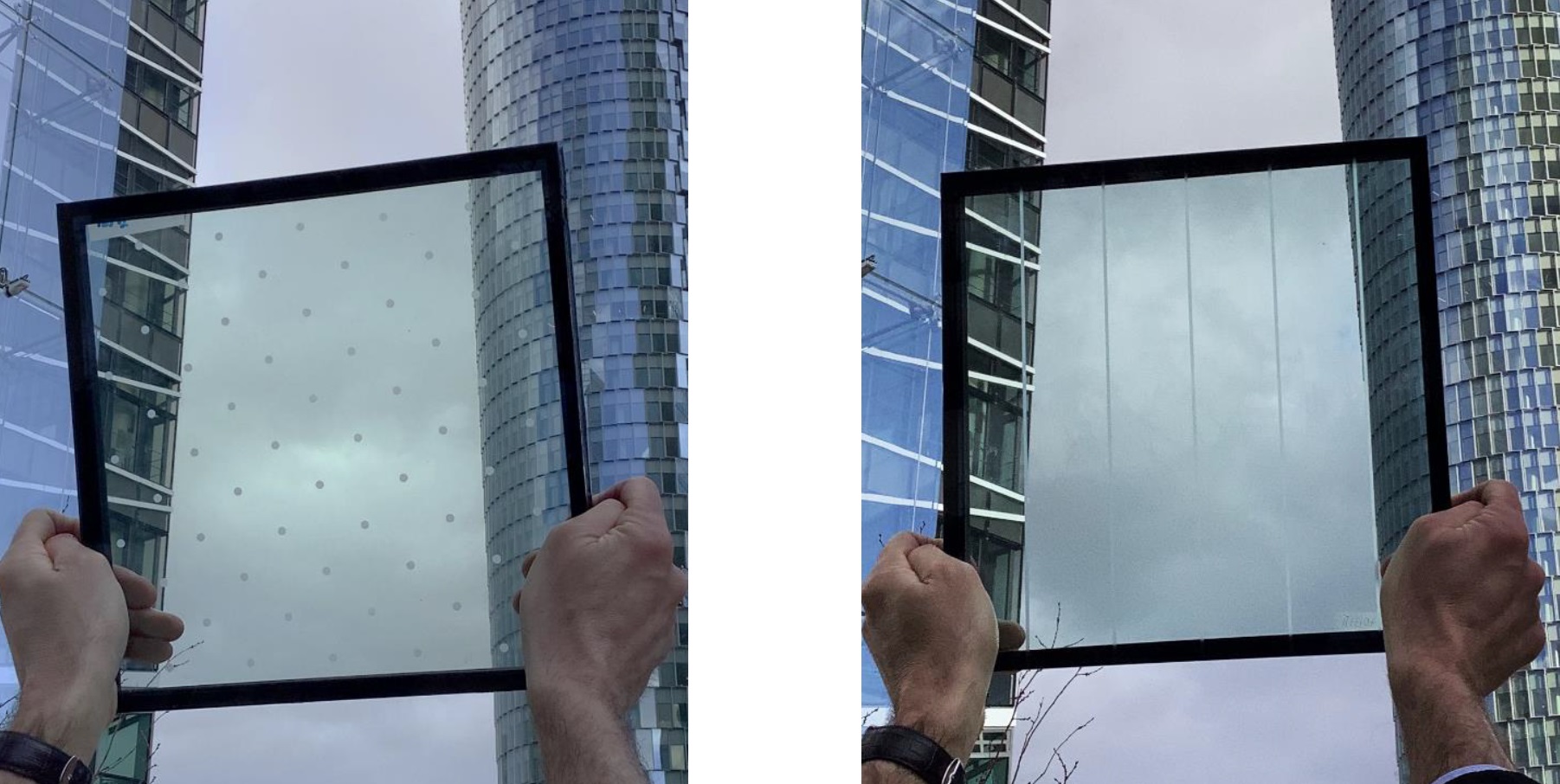 Jak účinně chránit ptáky před nárazy do skel?